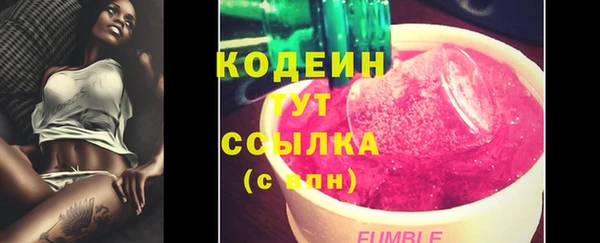 крисы Осинники