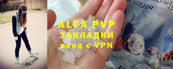 крисы Осинники