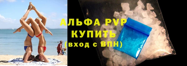 крисы Осинники