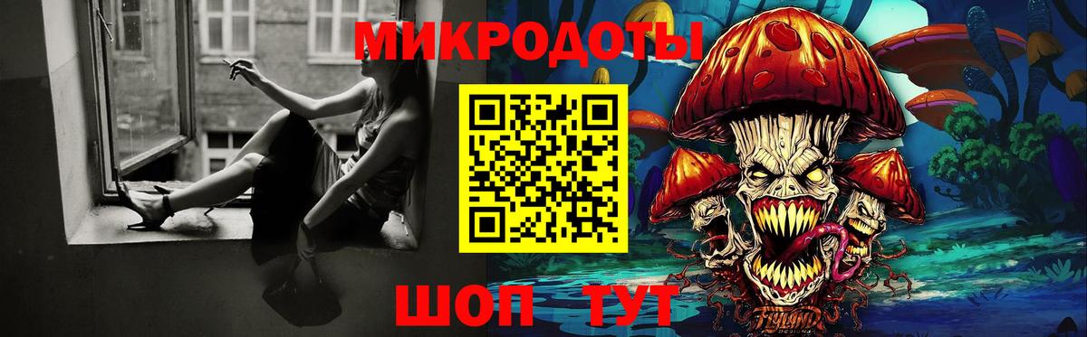Галлюциногенные грибы Psilocybe  Вход с VPN  Псилоцибиновые грибы мухоморы  Новосибирск 